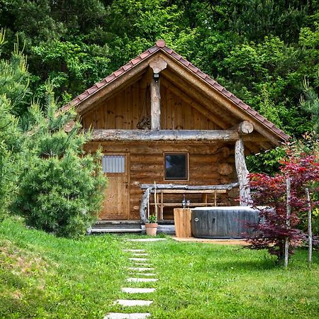 Hut At The Forest Male Brusnice Kültér fotó