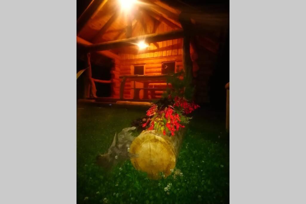 Hut At The Forest Male Brusnice Kültér fotó